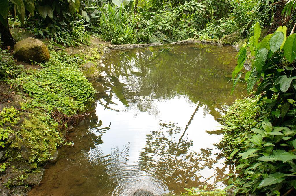 Takalik Maya Lodge El Asintal Eksteriør billede