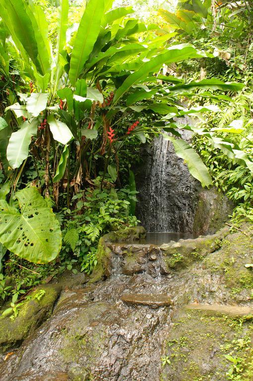 Takalik Maya Lodge El Asintal Eksteriør billede