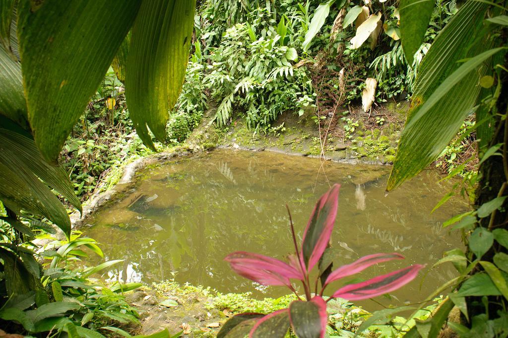 Takalik Maya Lodge El Asintal Eksteriør billede