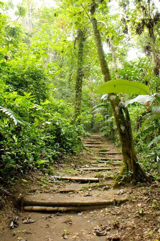 Takalik Maya Lodge El Asintal Eksteriør billede