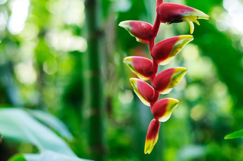 Takalik Maya Lodge El Asintal Eksteriør billede